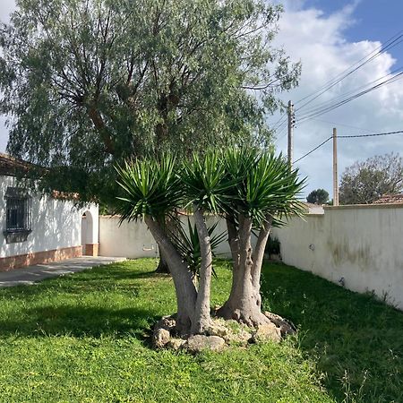 Chalet En Chiclana Novo Sancti Petri Exteriér fotografie
